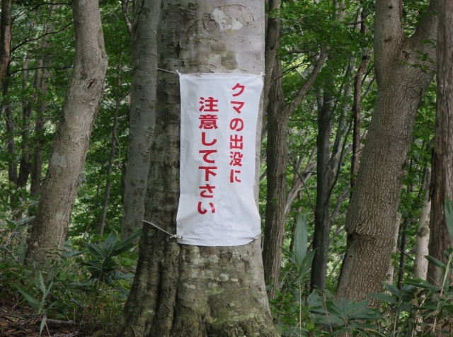 福井のクマ出没